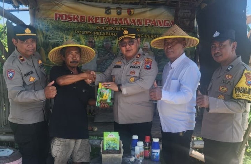 Petani Dapat Dukungan dalam Menghadapi Tantangan Hama Tanaman