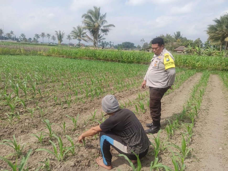 Polres Malang Dorong Lahan Produktif Terus Menghasilkan untuk Warga