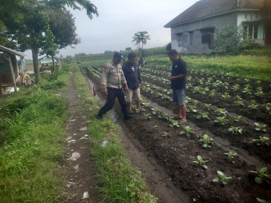 Dampingi Petani, Polres Malang Perkuat Ketahanan Pangan