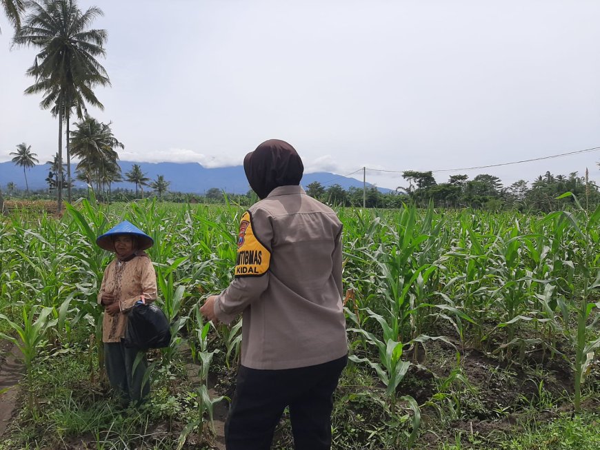 Polres Malang Kawal Ketahanan Pangan, Bhabinkamtibmas Turun Dampingi Petani